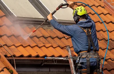 Démoussage et hydrofuge de toiture à Lanoux